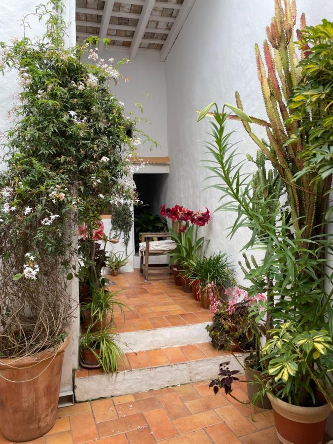 Casa Dulce Villa Vejer de la Frontera Luaran gambar